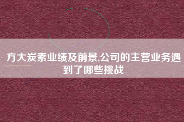 方大炭素业绩及前景,公司的主营业务遇到了哪些挑战