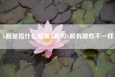 b股是指什么股票,b股和h股有哪些不一样
