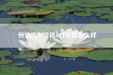 恒驰汽车价格6,性价比怎么样