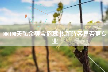 000198天弘余额宝招募书,新阵容是否更专业