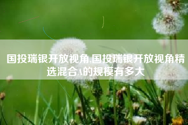 国投瑞银开放视角,国投瑞银开放视角精选混合A的规模有多大