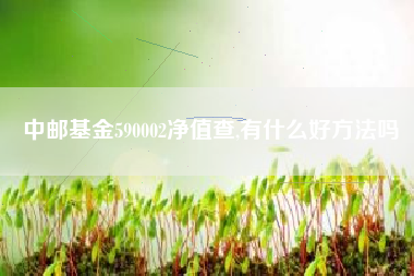 中邮基金590002净值查,有什么好方法吗