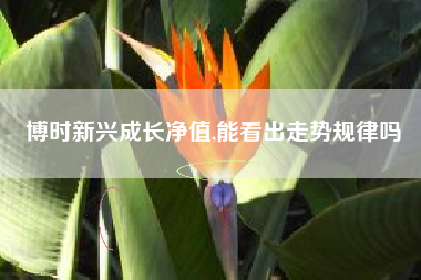博时新兴成长净值,能看出走势规律吗