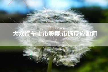 大众汽车上市股票,市场反应如何
