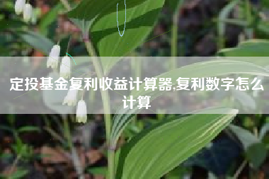 定投基金复利收益计算器,复利数字怎么计算