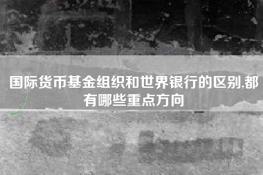 国际货币基金组织和世界银行的区别,都有哪些重点方向