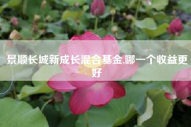 景顺长城新成长混合基金,哪一个收益更好
