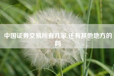 中国证券交易所有几家,还有其他地方的吗