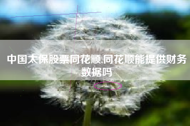中国太保股票同花顺,同花顺能提供财务数据吗