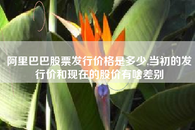 阿里巴巴股票发行价格是多少,当初的发行价和现在的股价有啥差别