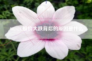 002421,股价大跌背后的原因是什么