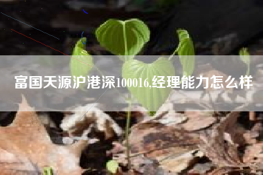 富国天源沪港深100016,经理能力怎么样