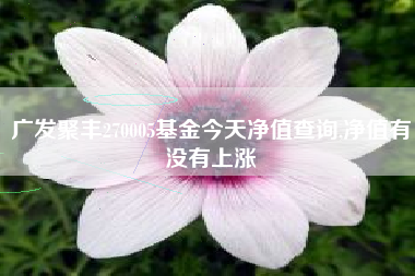 广发聚丰270005基金今天净值查询,净值有没有上涨