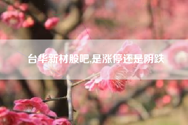 台华新材股吧,是涨停还是阴跌