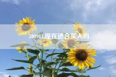 300981,现在适合买入吗
