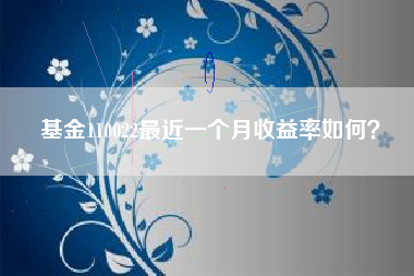 基金110022最近一个月收益率如何？