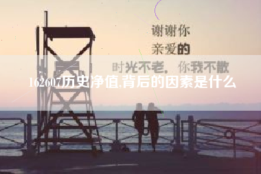 162607历史净值,背后的因素是什么