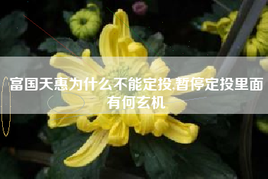 富国天惠为什么不能定投,暂停定投里面有何玄机