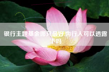 银行主题基金哪只最好,内行人可以透露下吗