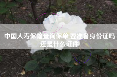 中国人寿保险查询保单,要准备身份证吗还是什么证件