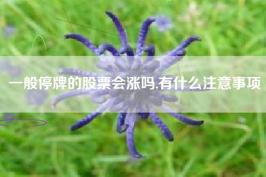 一般停牌的股票会涨吗,有什么注意事项