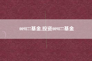 009877基金,投资009877基金