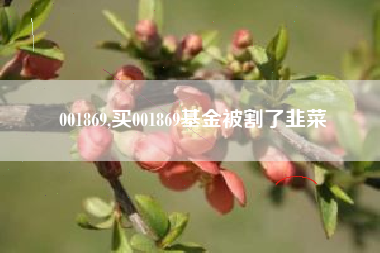001869,买001869基金被割了韭菜
