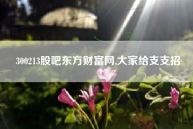 300213股吧东方财富网,大家给支支招