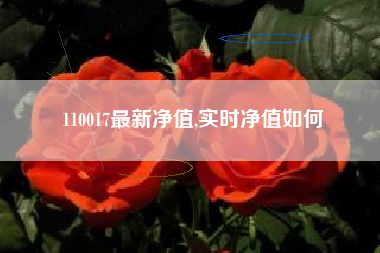 110017最新净值,实时净值如何