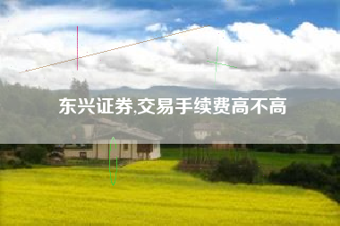 东兴证券,交易手续费高不高
