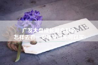 广发大盘成长混合基金(
怎样去看一支基金可不可以买) 广发大盘成长混合基金(
怎样去看一支基金可不可以买)