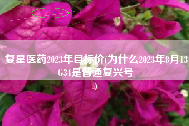 复星医药2023年目标价(为什么2023年8月13G34是普通复兴号
) 复星医药2023年目标价(为什么2023年8月13G34是普通复兴号
)