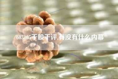 603105千股千评,有没有什么内幕