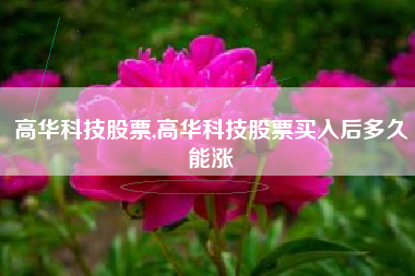 高华科技股票,高华科技股票买入后多久能涨