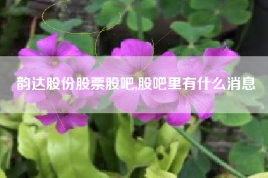 韵达股份股票股吧,股吧里有什么消息