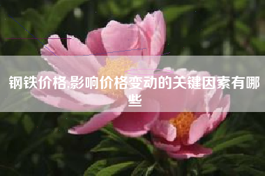 钢铁价格,影响价格变动的关键因素有哪些