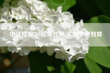 中证指数500股票代码,买哪个更划算