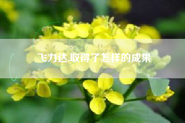 飞力达,取得了怎样的成果