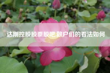 达刚控股股票股吧,散户们的看法如何