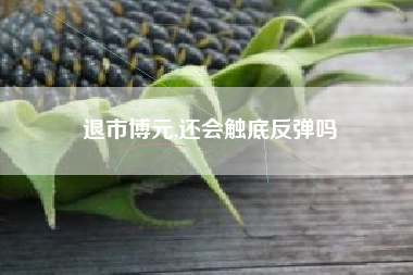退市博元,还会触底反弹吗