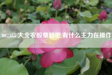 002385 大北农股票股吧,有什么主力在操作