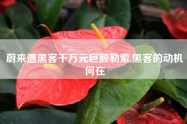 蔚来遭黑客千万元巨额勒索,黑客的动机何在