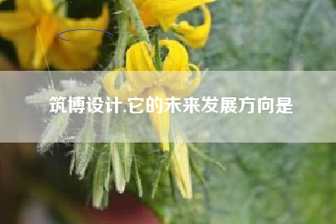 筑博设计,它的未来发展方向是