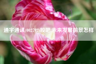 通宇通讯(002792)股吧,未来发展前景怎样