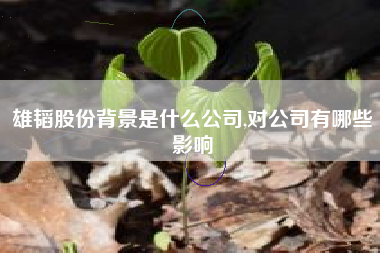 雄韬股份背景是什么公司,对公司有哪些影响