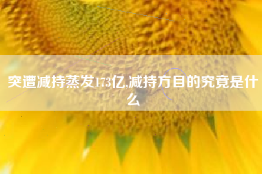 突遭减持蒸发173亿,减持方目的究竟是什么