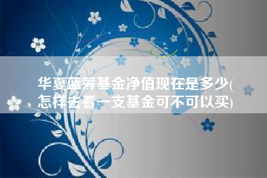 华夏蓝筹基金净值现在是多少(
怎样去看一支基金可不可以买)