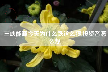 三峡能源今天为什么跌这么狠,投资者怎么想
