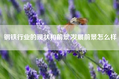 钢铁行业的现状和前景,发展前景怎么样