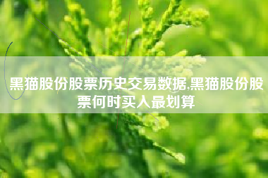 黑猫股份股票历史交易数据,黑猫股份股票何时买入最划算